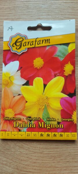 Georgína "MIGNON" zmes