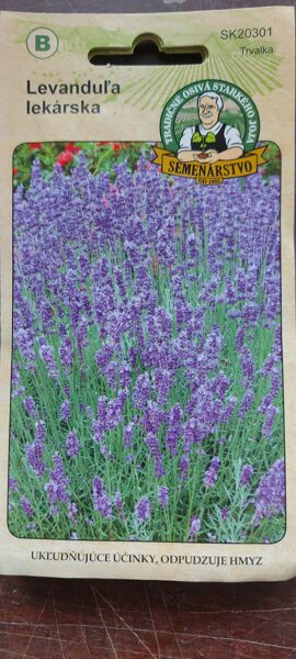 Levanduľa lekárska