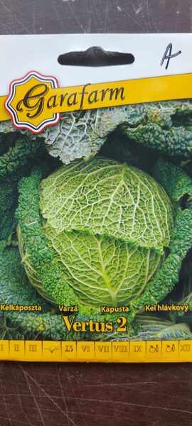 Kel hlávkový "VERTUS"2