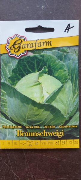 Kapusta biela "BRAUNSCHWEIGER" 