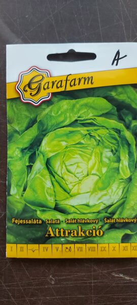 Šalát hlávkový "ATTRAKCIÓ"