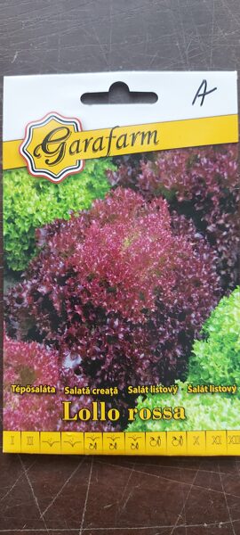 Šalát listový "LOLLO ROSSEA" 