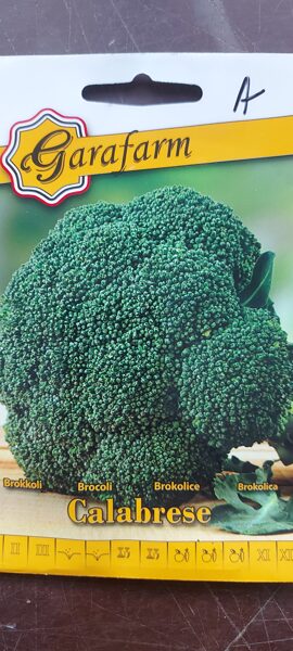 Brokolica "CALABRESE"