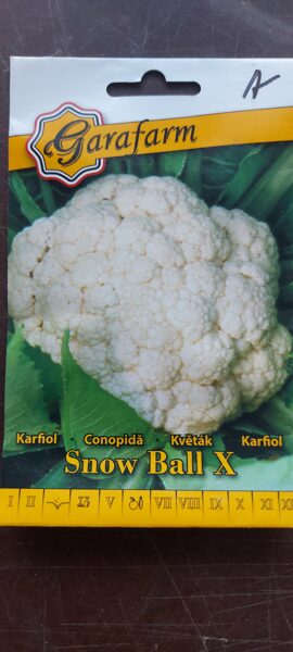 Karfiol "SNOW BALL X" 