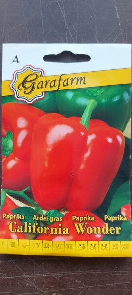 Paprika "CALIFORNIA WONDER" 