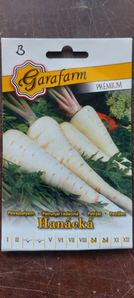 Petržlen "HANÁCKÁ" 